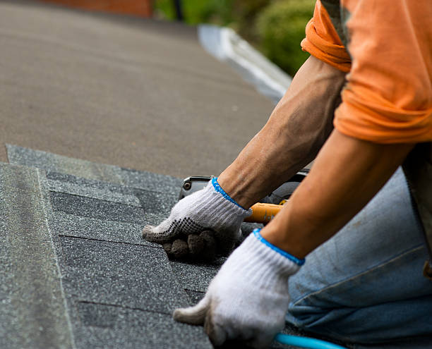Best Metal Roofing Contractor  in Belterra, TX
